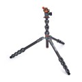 Statyw-3-Legged-Thing-Albert-2-0-Gray-wlokna-weglowe-5-sekcji-udzwig-30kg-glowica-Pro-Lever-02.jpg