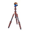 Statyw-3-Legged-Thing-Leo-2-0-Bronze-wlokna-weglowe-5-sekcji-udzwig-30kg-glowica-Pro-Lever-01.jpg