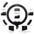 lampa-led-phottix-nuada-ring60-1000-14.jpg