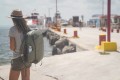 Travel_Backpack_30L_Sage_BTR-30-SG-1_0012.jpg