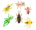 lornetka-dla-dziecka-2.6x30-zestaw-discovery-basics-ek90-14.webp
