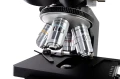 mikroskop-stereoskopowy-levenhuk-870t-trino-40x-2000x-6.webp