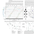 obrotowa-mapa-nieba-delta-optical-5.webp