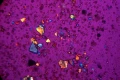 zestaw-delta-optical-do-prostej-polaryzacji-w-genetic-pro-4.webp