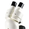 mikroskop-stereoskopowy-sagittarius-adventure-10-3.webp