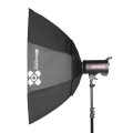 Quadralite-Softbox-Octa-120-01.jpg