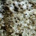 mikroskop-stereoskopowy-delta-optical-discovery-40-8.webp