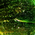 mikroskop-stereoskopowy-delta-optical-discovery-40-10.webp