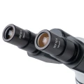 mikroskop-stereoskopowy-delta-optical-genetic-bino-9.webp