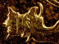 Mikroskop-delta-optical-biolight-300-z-kamerą-dlt-cam-2-mp-24.jpg