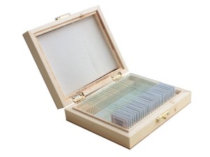 Preparaty mikroskopowe z botaniki, grzyby - 25 sztuk