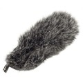 Dead-Cat-VMPR-04.jpg