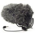 Dead-Cat-VMPR-06.jpg