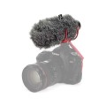 Dead-Cat-GO-06.jpg