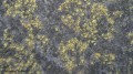 stereoskopowy-mikroskop-bresser-biolux-icd-20x-16.jpg