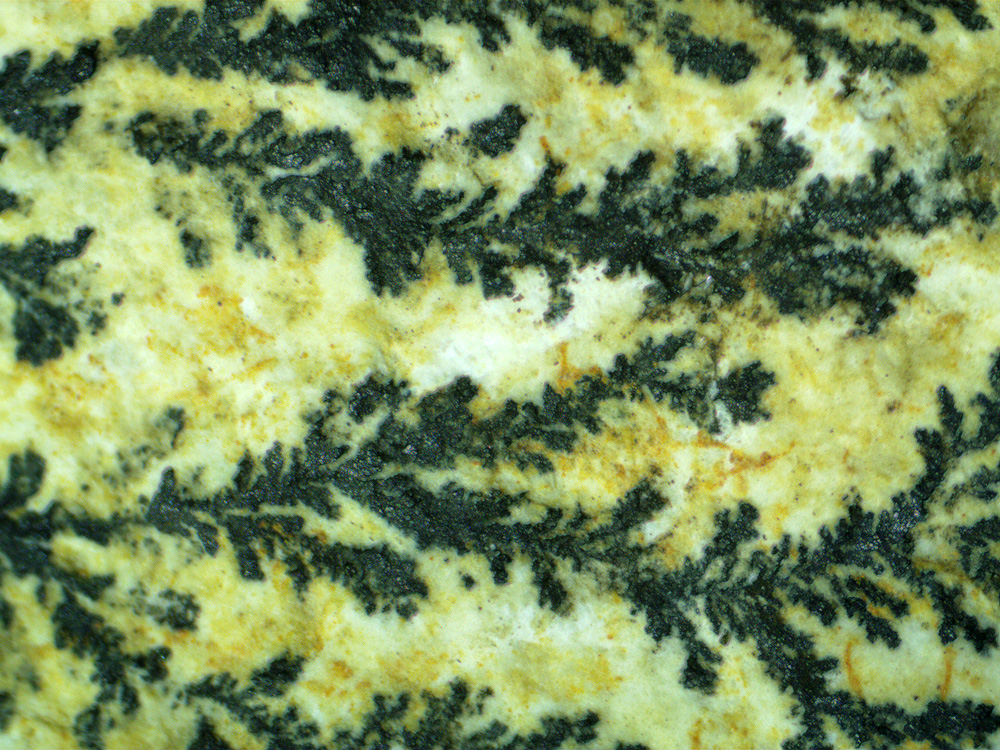 Mikroskop stereoskopowy Delta Optical StereoLight