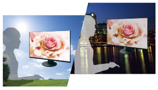 EIZO EV2460 - monitor LCD 23.8" z regulowaną stopką (czarny)