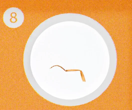 Szkoła - preparaty do mikroskopu Discovery Fauna 12szt - odnóże muchy