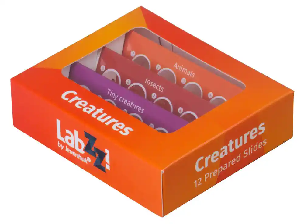 Preparaty do mikroskopu dla dzieci Levenhuk LabZZ C12 12 szt - sklep Warszawa