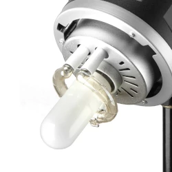 pilot quadralite up! x 700